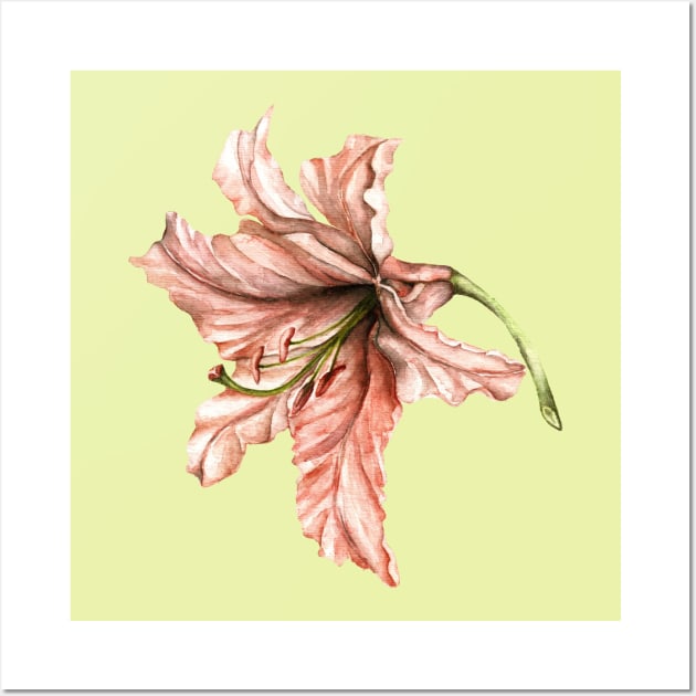 Pink Botanical Art Lilly Wall Art by Goosi